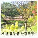 한방생태숲 이미지