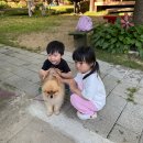 대구 아이랑 가볼만한곳 찾았어요~ '가창힐링하우스'후기
