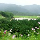 뉴스프링빌골프장 이미지