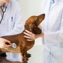 더봄동물병원 이미지