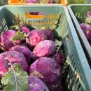 글로리 팜 이미지