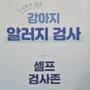 펫맘애 | 고양이 집사가 다녀온 &#34;제18회 2025 광주펫쇼&#34; 후기 2탄