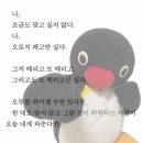 떡자네짬뽕 | 여유로운 초여름 날 🌿
