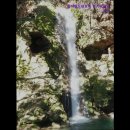 동아렌트카 이미지