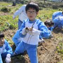 조봉초등학교 이미지