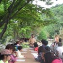 자연의쉼터 Daum카페
