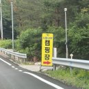사지목나무그늘 | [영월] 사랑나무캠핑장 3번째 방문 후기(사랑나무타프존4 후기)/계곡 캠핑장 그늘 많은 캠핑장 추천