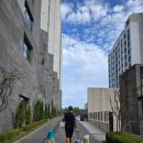 체스 호텔 | 속초 체스턴톤스 호텔 수영놀이