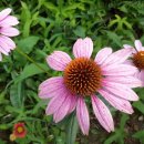 옥천민박 이미지