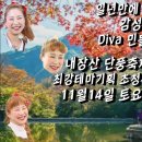 Diva 민들레 각설이 내장산 단풍 축제 최강테마기획 초청공연 11/14토요일 이미지