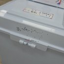 사전 투표 참관인 후기 문제의 봉인지를 만나다