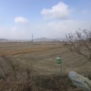 중흥리경로당 Daum카페