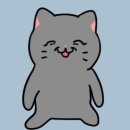 악근천 | 10월 제주도 오토바이 수영 우정여행-3