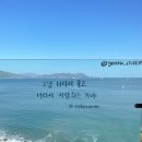 CLIFF39(클리프39) 네이버블로그