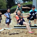 강진청자축제 이미지