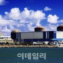 상업용 19 이미지