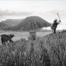 서정적 풍경 이미지