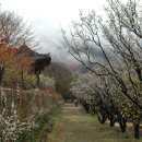 임학주유소 이미지