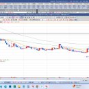 나라바이오메드주