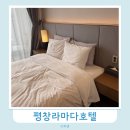 평창라마다호텔 | 평창 라마다 호텔 스탠다드 더블룸 숙소 후기