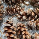 서둔동 14-25 이미지