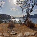 외도널서리 이미지