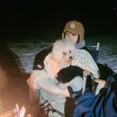 해피올동물병원 이미지