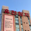 유진참치 | 인천 가성비 참치 맛집 넘버원 유진 참치(초밥 맛집) 내돈내산 후기