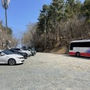 대금산진달래길(등산) | 2025년 거제 대금산 개화현황 진달래축제 꿀팁