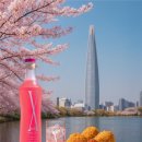 블로썸코리아 이미지