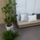 다대온천 이미지