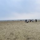 몽산포주차장 이미지