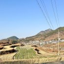 레인비앤비 네이버블로그