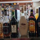 주주살롱 이미지