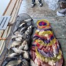 고담낚시터 이미지