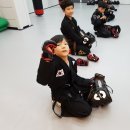 합기도 일산도장 이미지