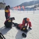 알펜시아리조트 이미지