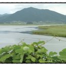 과역-1호 이미지