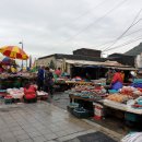 고로점포상회 | 부산남포동횟집 회포장 하기좋은 동해상회 : )