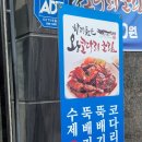바다 왕코다리 네이버블로그