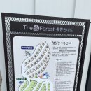 포레스트 G2 이미지