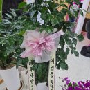 워시존양평점 이미지