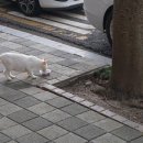 천사곱창여수여서점 이미지