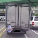 고치 Daum카페