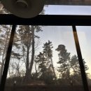 강릉댕댕이애견펜션블루 이미지