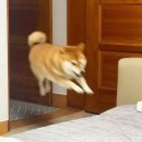 아이스세상 | [나 혼자만 레벨업 on ICE] 관람 후기 | 목동 아이스링크 시야·좌석·추위 정보