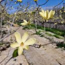 이레 행정사 이미지