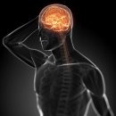 양지로2L 이미지