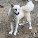 울산농장 이미지