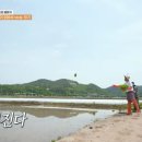 [1박2일] 평생 쌀농사 지은 67세 사장님 : 한번도 손으로 모내기한 적 없어..jpgif 이미지